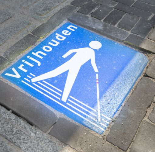 Afbeelding Permanente stoeptegel in de straat ingemetseld met houd de lijn vrij logo en het woord vrijhouden als opschrift. De tegel is felblauw met witte accenten.